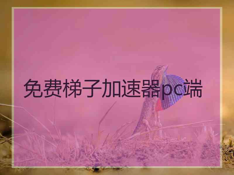 免费梯子加速器pc端