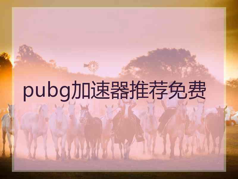 pubg加速器推荐免费