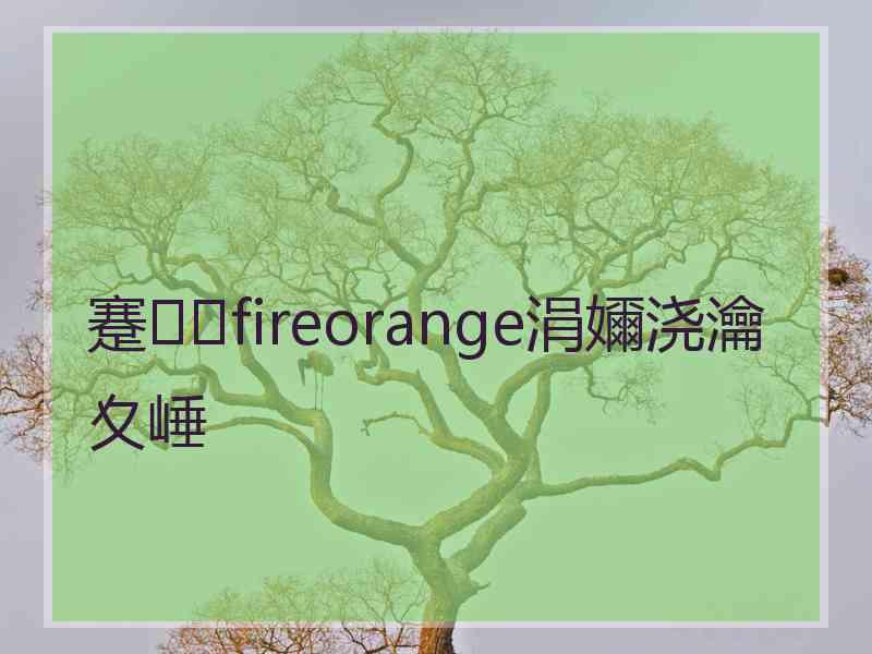 蹇fireorange涓嬭浇瀹夊崜