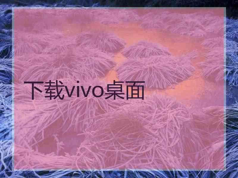 下载vivo桌面