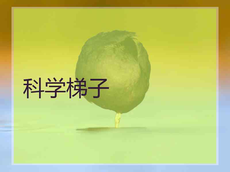 科学梯子