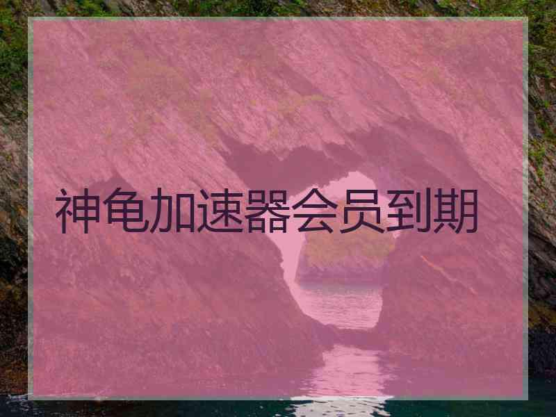 神龟加速器会员到期
