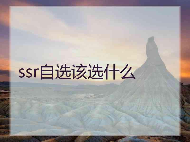 ssr自选该选什么