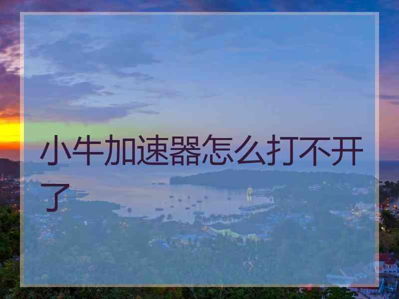 小牛加速器怎么打不开了