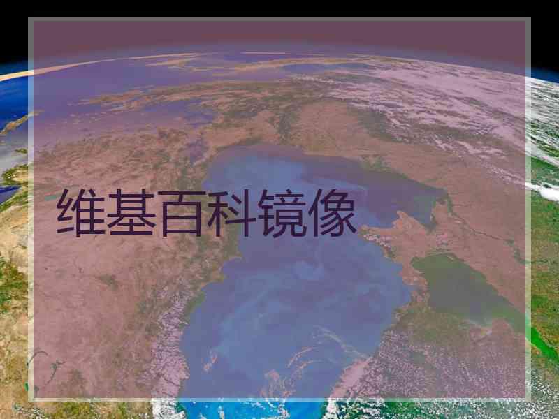 维基百科镜像