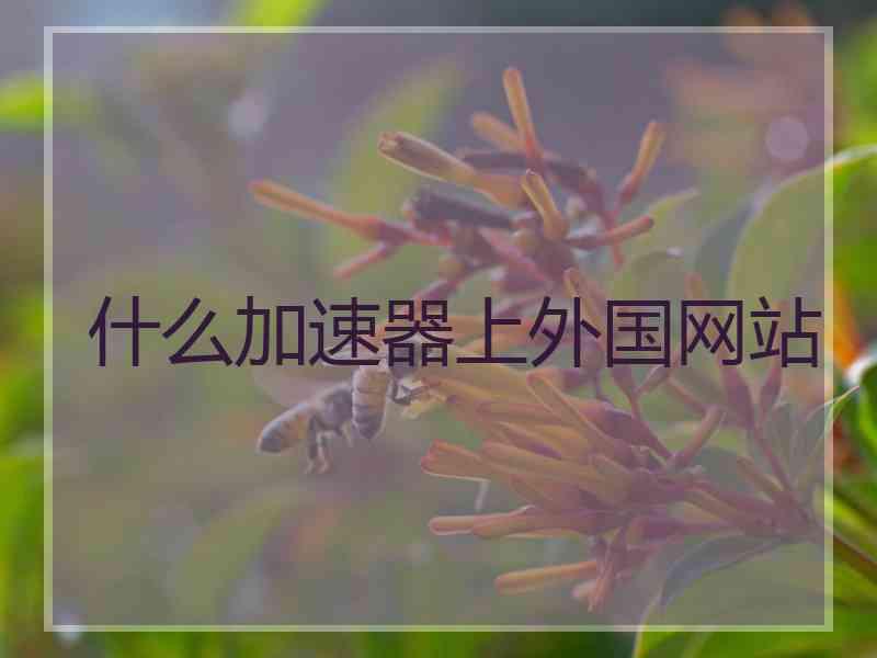 什么加速器上外国网站