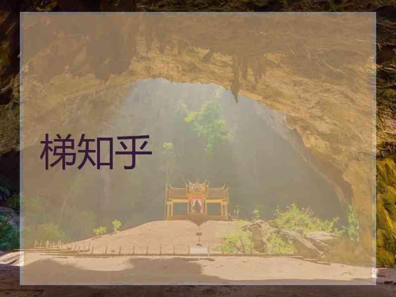 梯知乎
