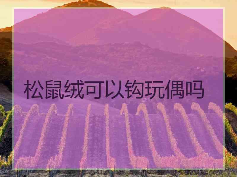 松鼠绒可以钩玩偶吗