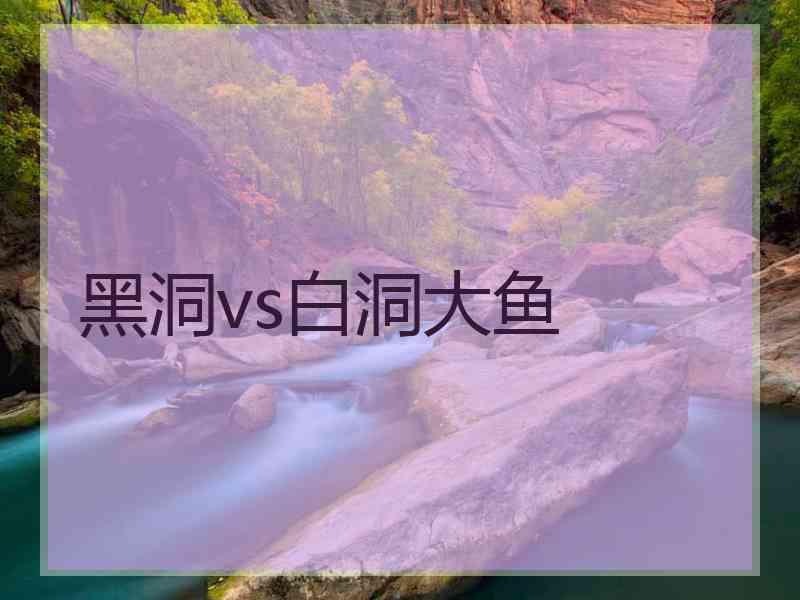 黑洞vs白洞大鱼