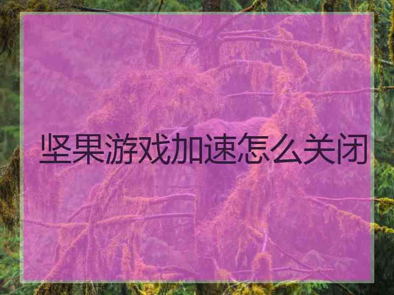 坚果游戏加速怎么关闭