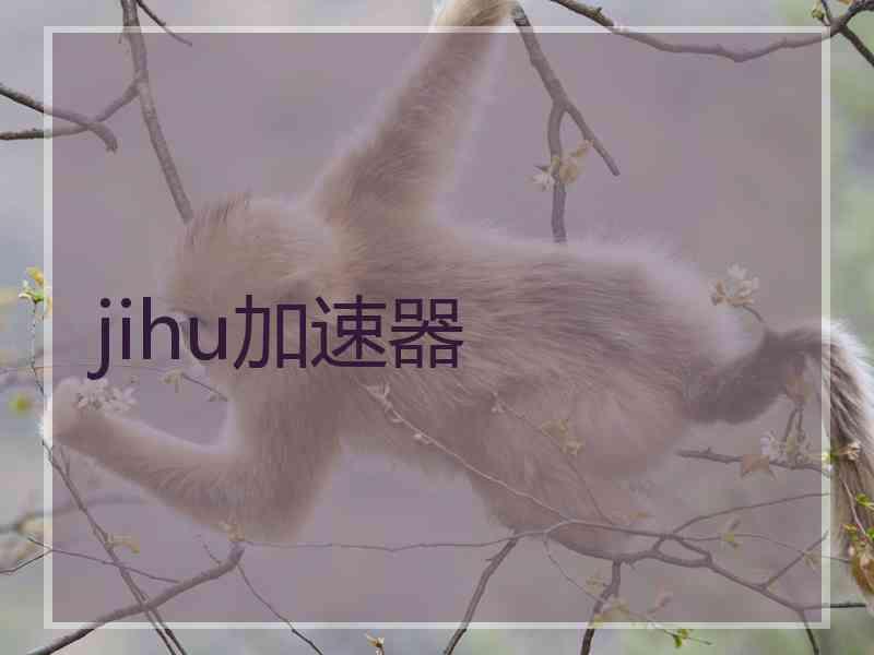 jihu加速器