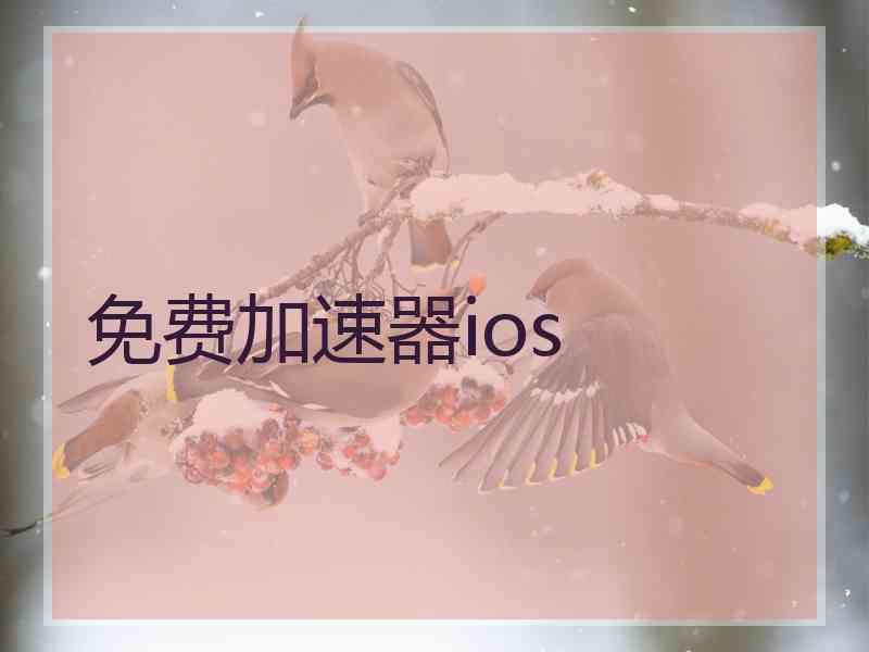 免费加速器ios