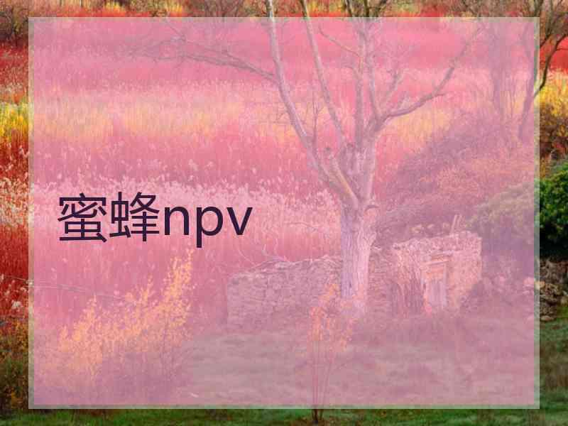 蜜蜂npv
