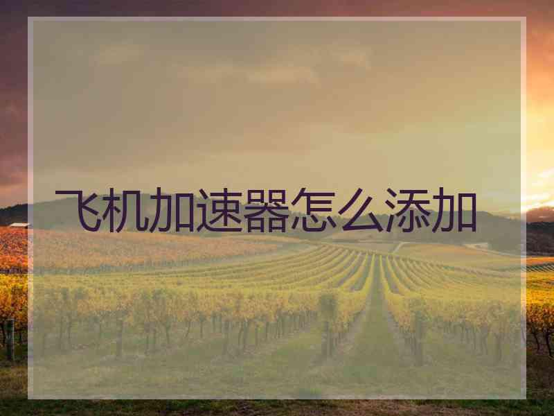 飞机加速器怎么添加