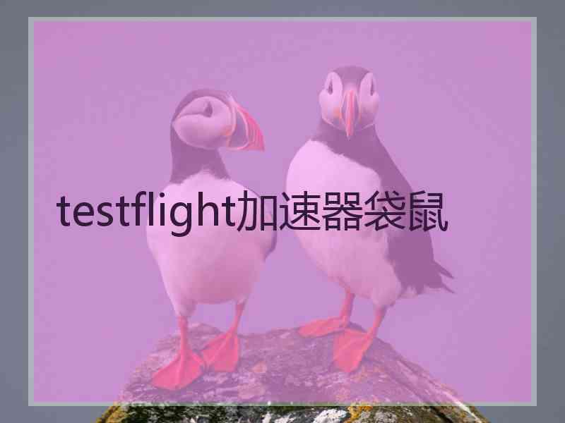 testflight加速器袋鼠