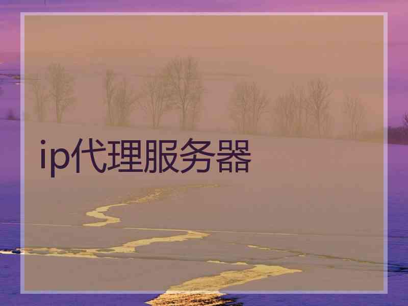 ip代理服务器