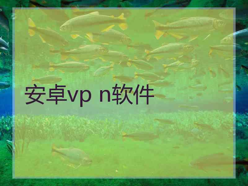 安卓vp n软件