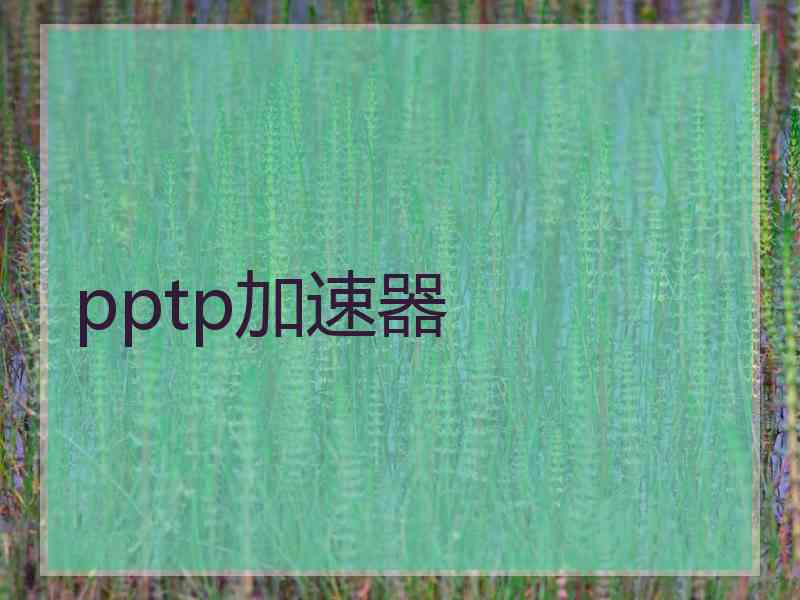 pptp加速器