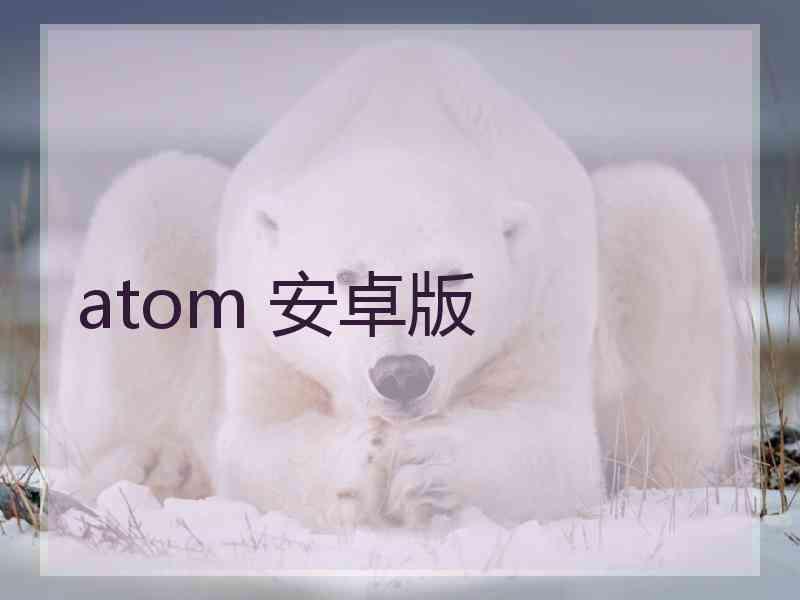 atom 安卓版
