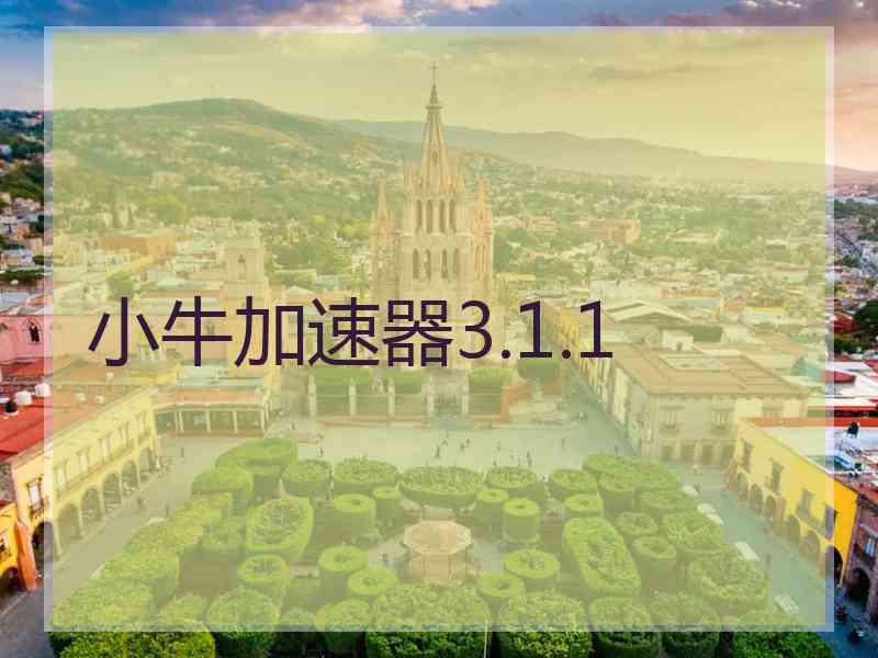小牛加速器3.1.1