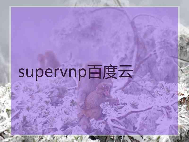supervnp百度云