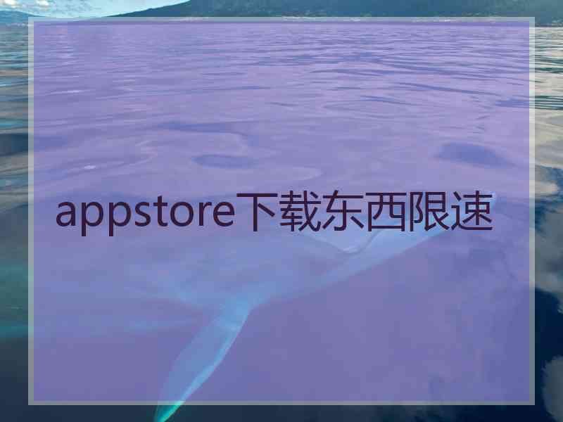 appstore下载东西限速