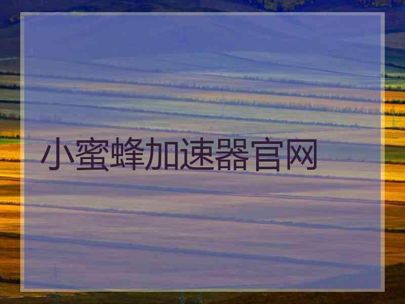 小蜜蜂加速器官网