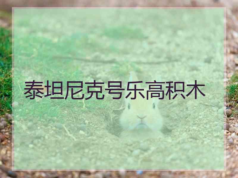 泰坦尼克号乐高积木