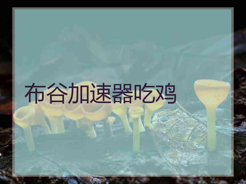 布谷加速器吃鸡