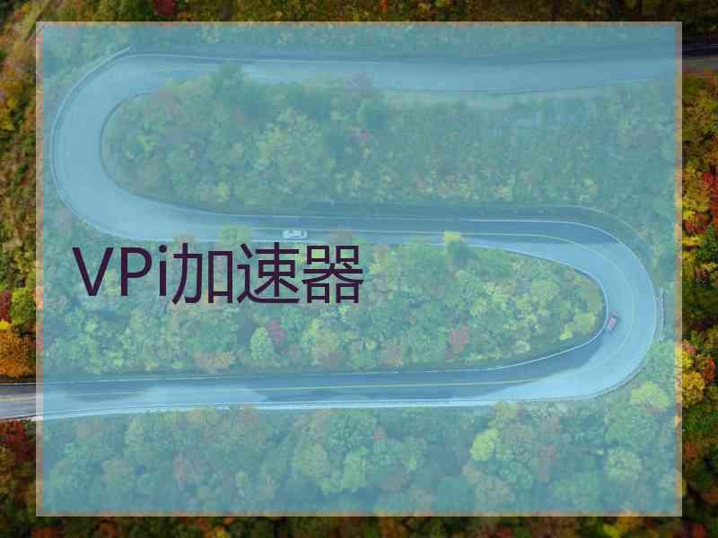 VPi加速器