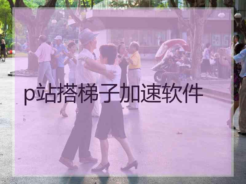 p站搭梯子加速软件