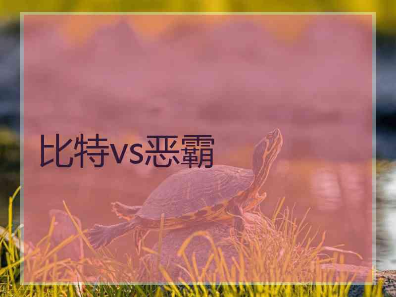 比特vs恶霸