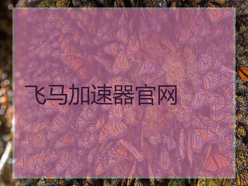 飞马加速器官网