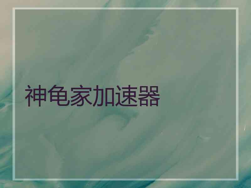 神龟家加速器