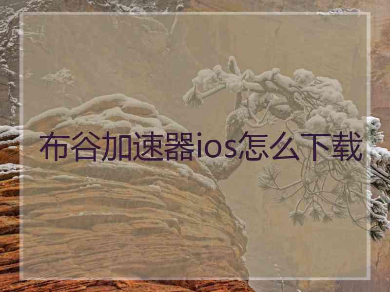 布谷加速器ios怎么下载