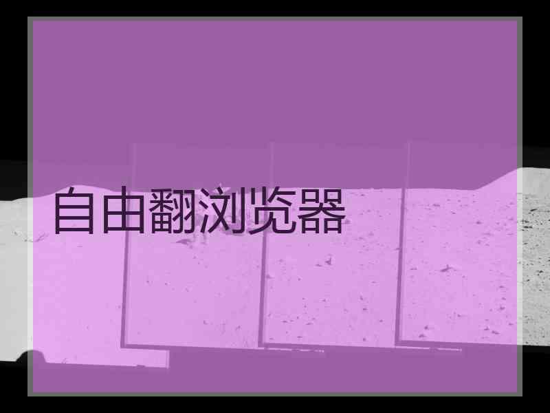 自由翻浏览器