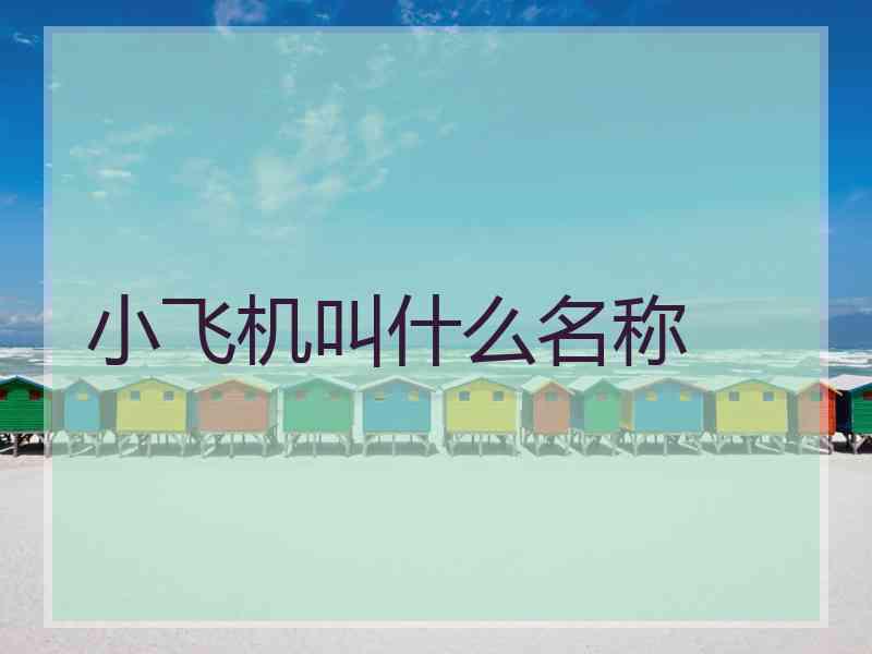 小飞机叫什么名称