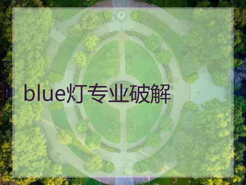 blue灯专业破解