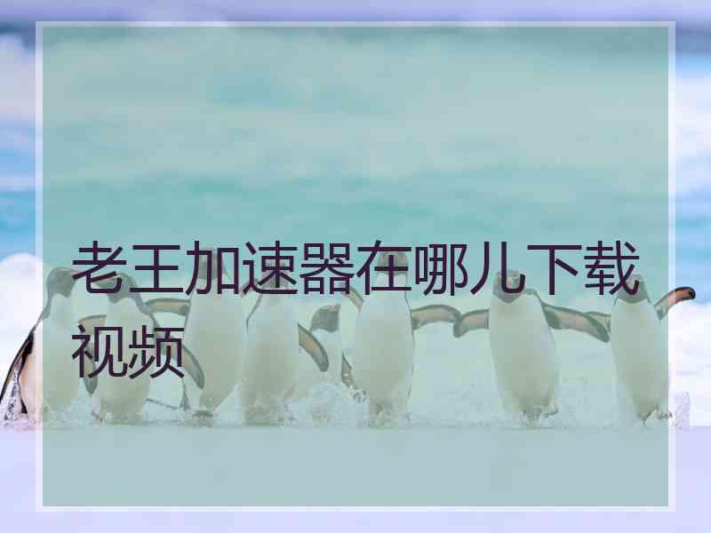 老王加速器在哪儿下载视频