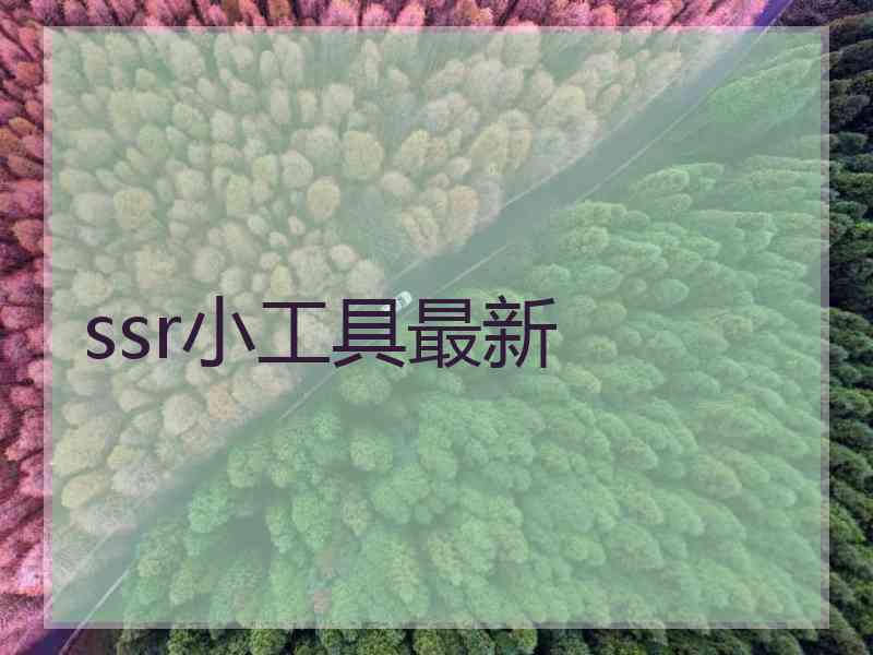 ssr小工具最新