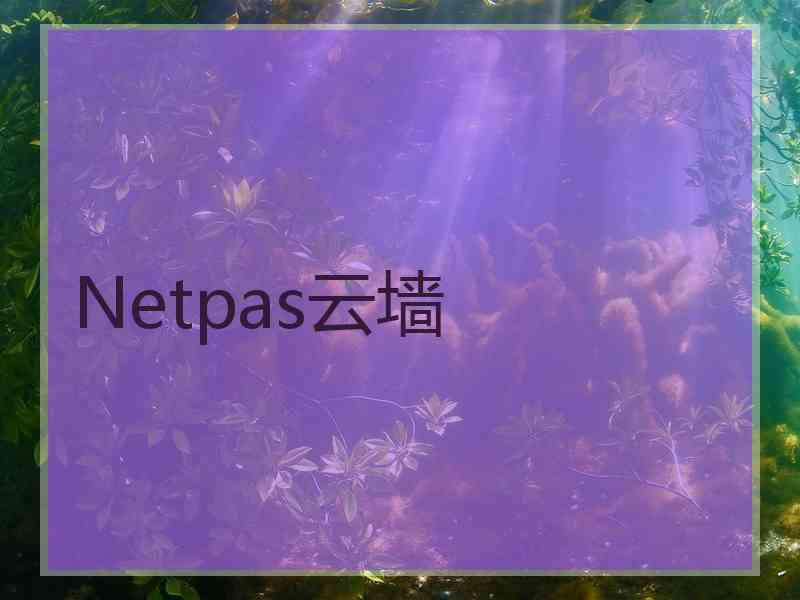 Netpas云墙