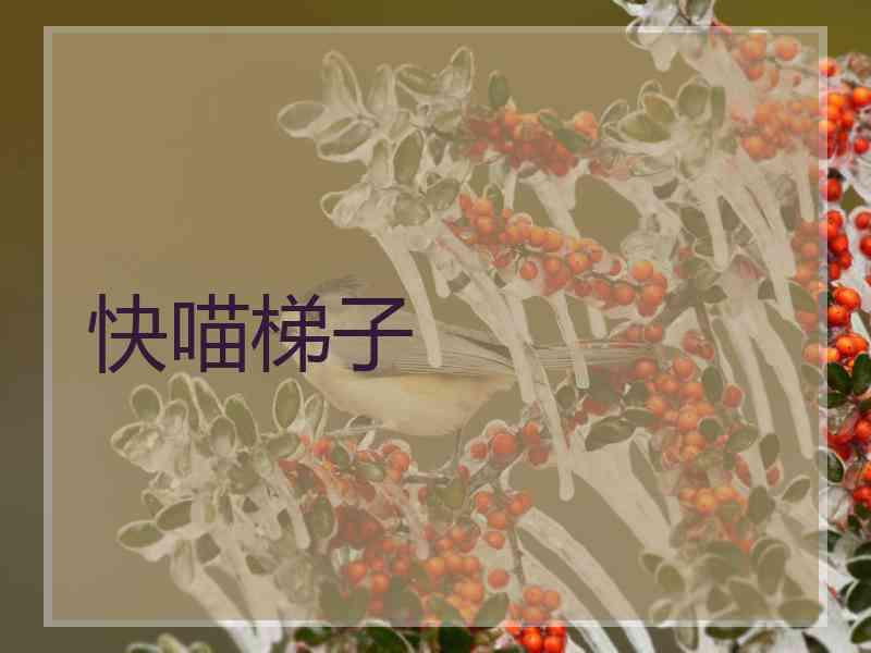 快喵梯子