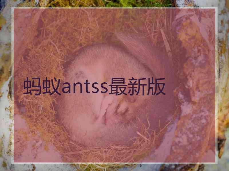 蚂蚁antss最新版