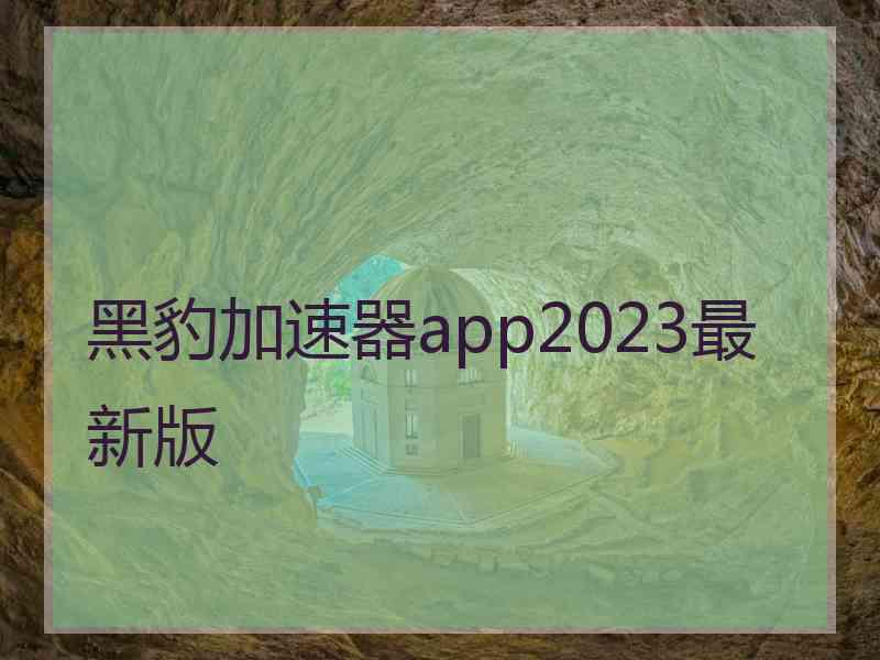 黑豹加速器app2023最新版