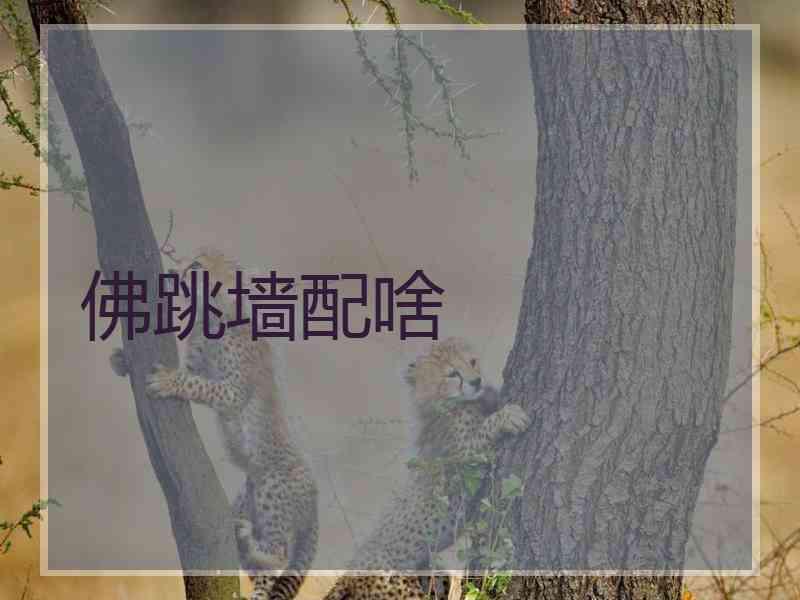 佛跳墙配啥