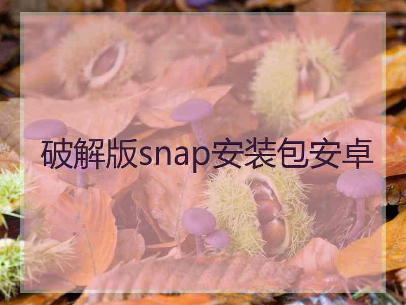 破解版snap安装包安卓