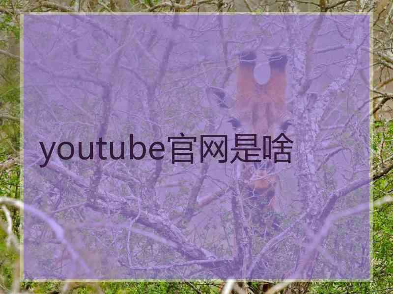 youtube官网是啥
