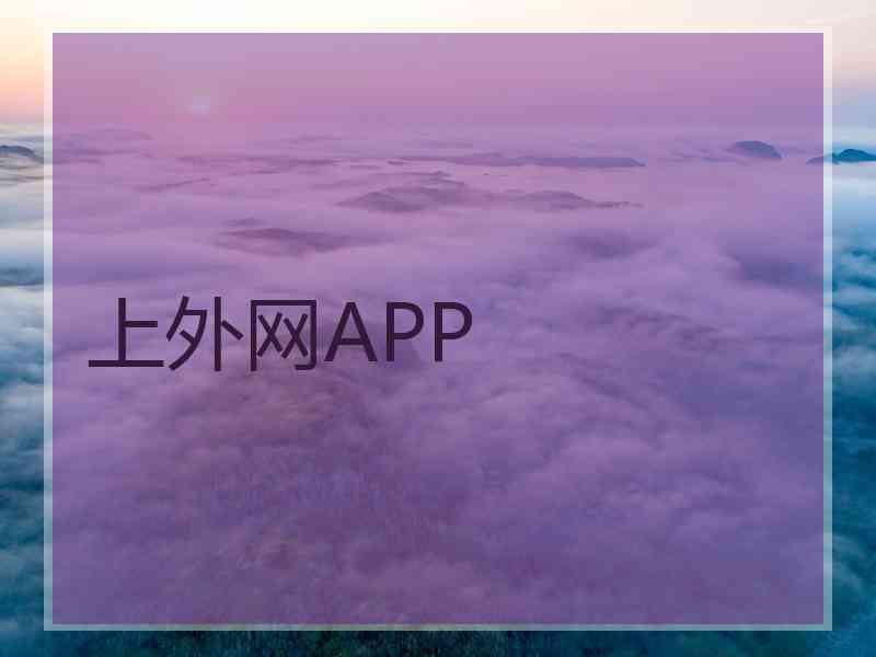 上外网APP