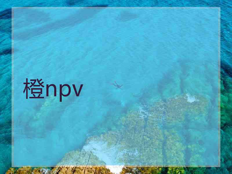 橙npv