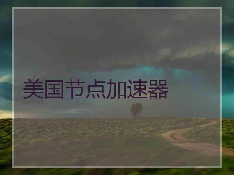 美国节点加速器
